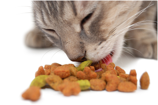 0a7b43a1028bc74be070040112991537