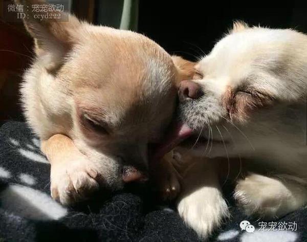 18b160d748750608fed822d2624c7f5b