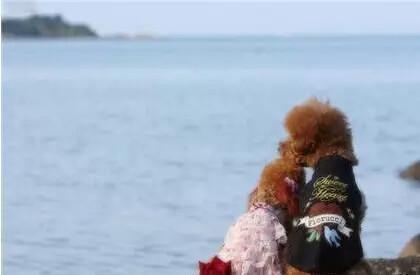 193e67624c812572ecfdff2f08c237ca