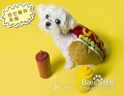 1d5027bb50ac6a0adaeb0038c90f1fdb