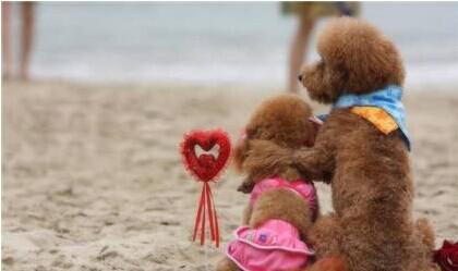 22ad2c74894b2a11fbd6079d3af1e90d