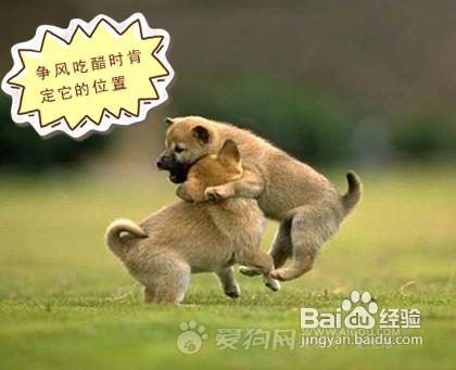 240283434ed4974520c10c0a3670d9de