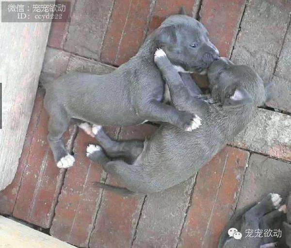 281a3ffea9f5d9aeac8ef79079edad45