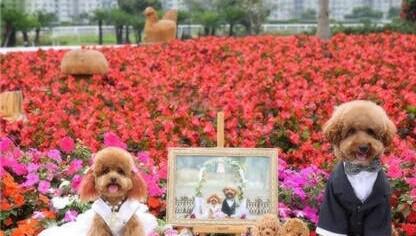 28d8ef495c506c0fe752db68a1447b92