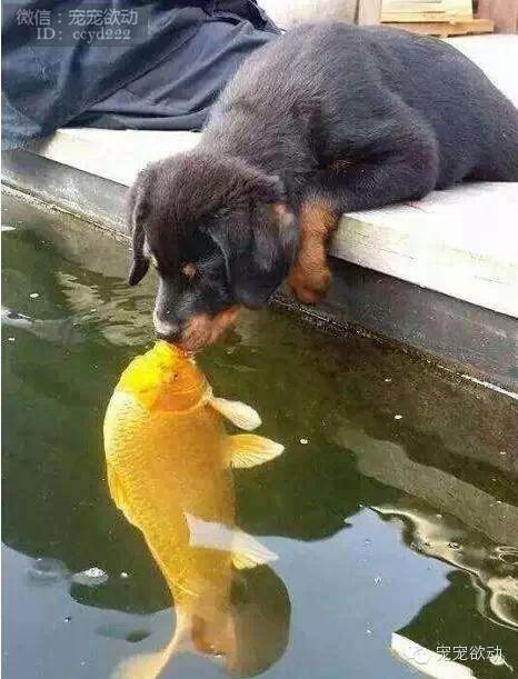 4ad8c28ed6e603685fe1adbea551c38d