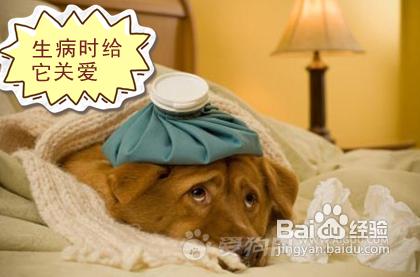 4cbfc30c8d2e0a9a1d263c3ed4abd44a