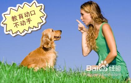 51fcd6528fe7e1b5a2e3a3a3ea1beb0e