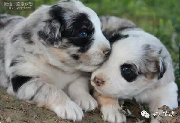 5244f52b61e7c8443b2f39e1c30883a6