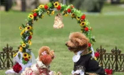 5c097875c8f18592d46cea52ee2e55d1