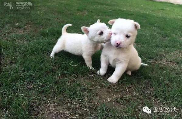 5c3a021a908104b8e85c06ebad30d2e4