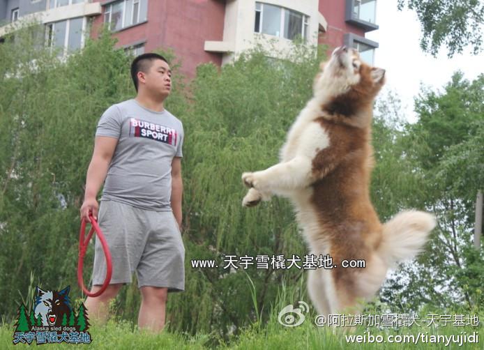 64a9952ef096ebce3b0f6543a3ad4e92