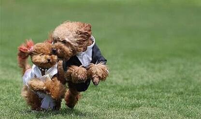 6a3c31feef7c49d903a1e750bc0e0a1c