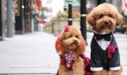 725c86b7997bccdd69cfffeac79c8cc4