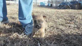 7a36d4ec841927e45ce93a9c9235b8c2