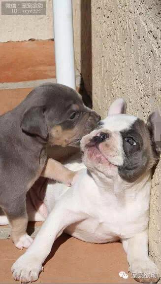 7b1ce39342ff35e02cdc5ca96aa76641