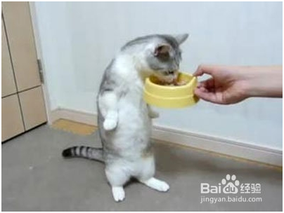 8bf104555ff45aec8be07bcb8048ccc5