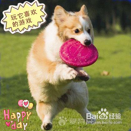 a55cb68406264eb9c2e31de757c3602b