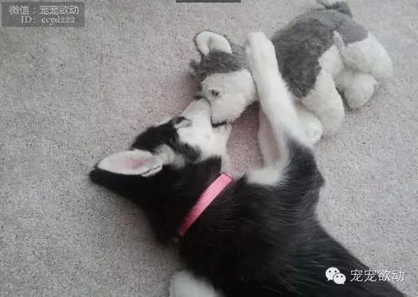 a6a7d857d8e663bcabe8af50b64ac37e