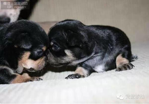 a72141d6064027be42af73d009bc62a1