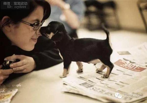 acdf4a06f5d73b95a940e45477409aaa