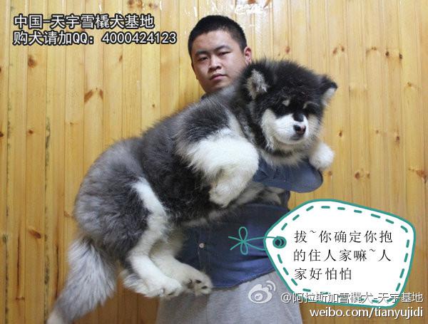 ace21d8222325ab50c92a2989fec0bdb