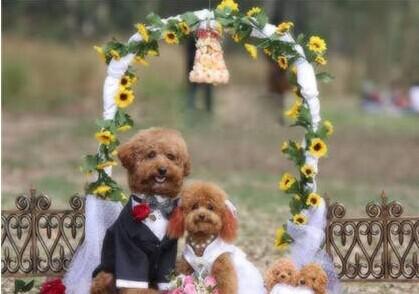 b100fd7ce1815be85939d75514296936