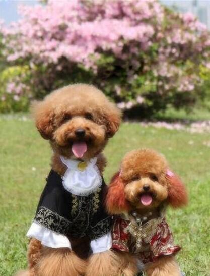 c472749853c7db8df71d1c9f0b9e1111