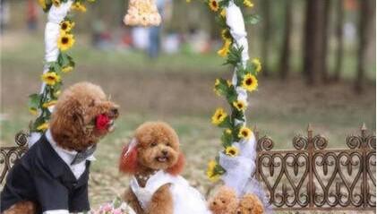 c868b5ff5229c3ef9bdc0c640d4e9593