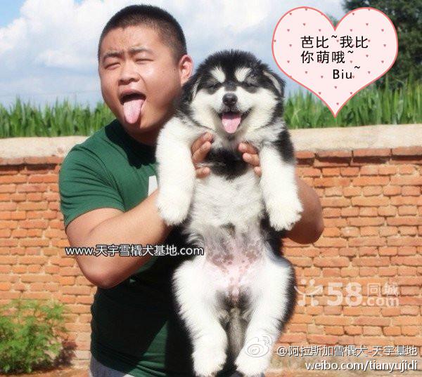 cb1cd6b63151fec924acb86ace5fec2c