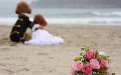 d58ca09a35ec36ee3d63a75bc90e3bb7