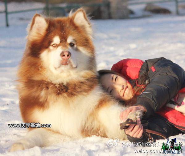 debab3b4832db6f1cfea47ac04f58dec