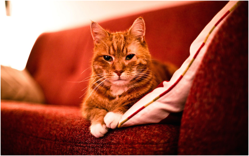 e602baaf9d3f1002cfe14b64d4847d3b