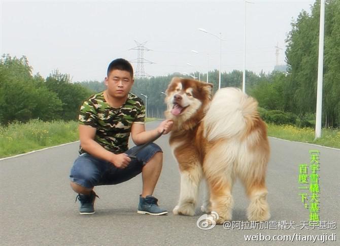 f59e426b1524c7920cc863a40de6f0c6