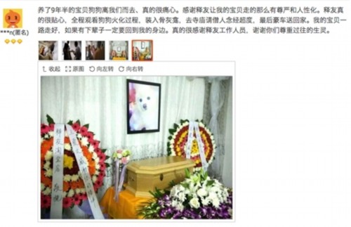 2afdff6027e01279b825b625419b448f