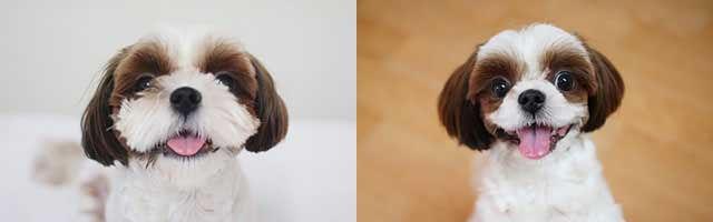 4b33329fecead6426e40dd1a72a9a15f