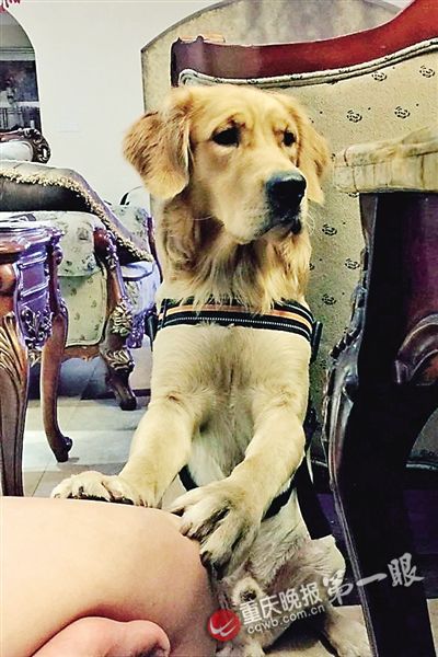 c2335e3cb60495e7156b47082590e433