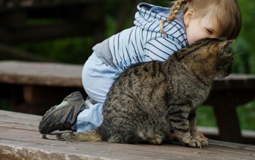 e048fed5a6235640d630ffaf70f95aa6