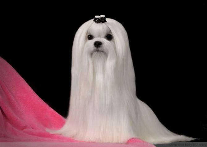 太阳城官网·tyc(中国集团)有限公司