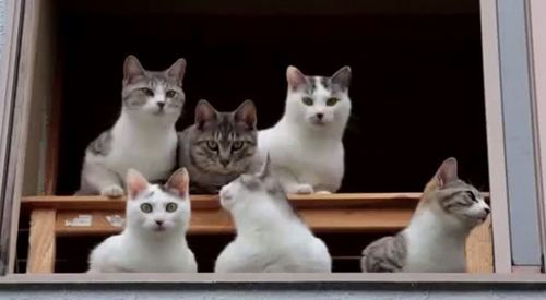 67838fcf49108f1e2392d1cbbbc46042