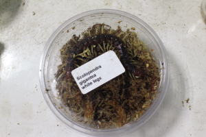 cfb3ec958d81b6e617e4b913bb798830