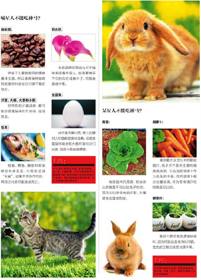 0b224bc4656e86381192265175797af6