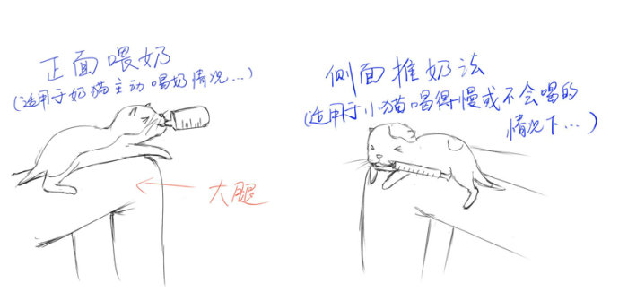 b33062ba5d63899a37e54eccf052d5ac