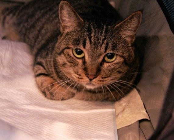 38866d284f99e44c1fa854a6f14ab108