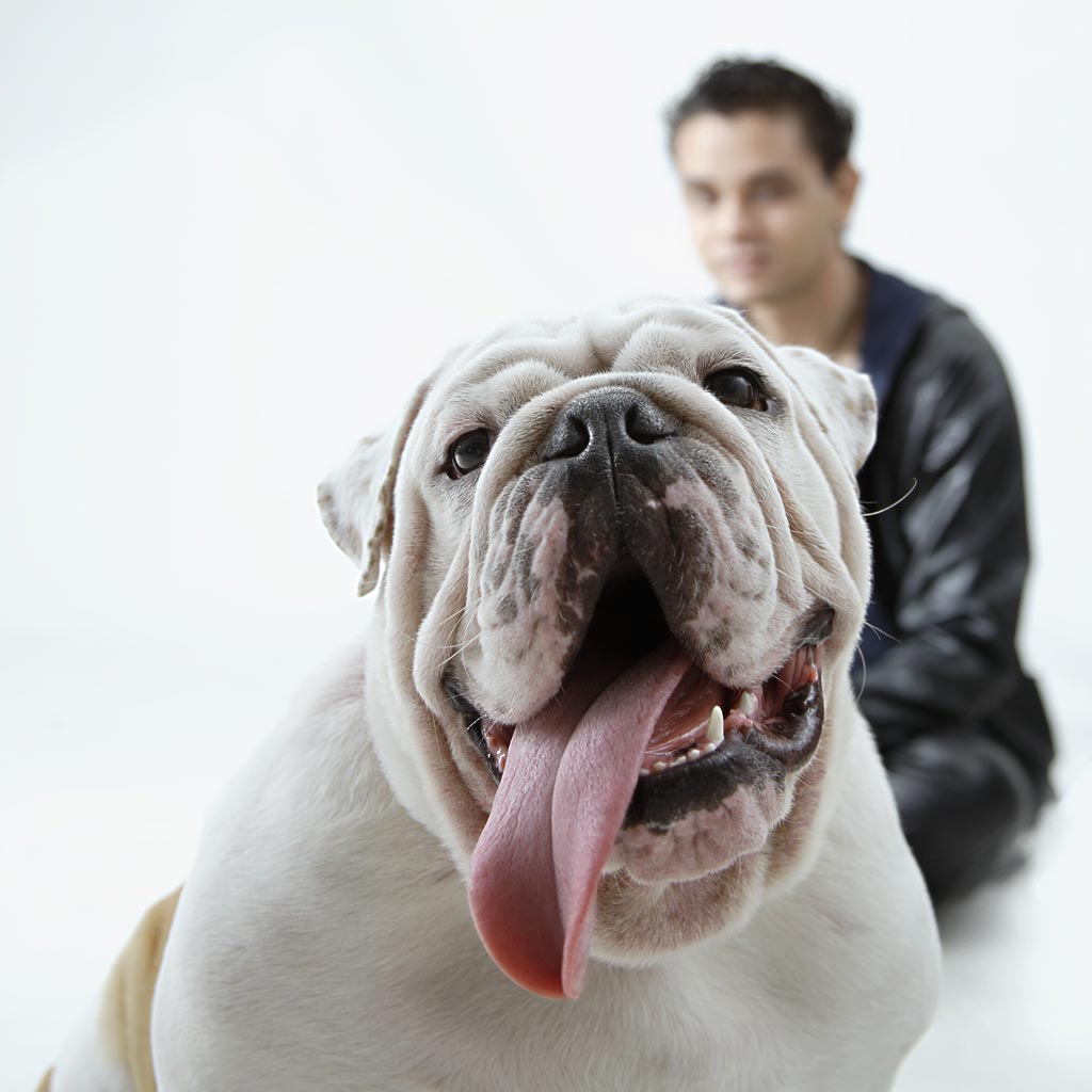 5c5082e7159a425e2f813c8a4c2e2677