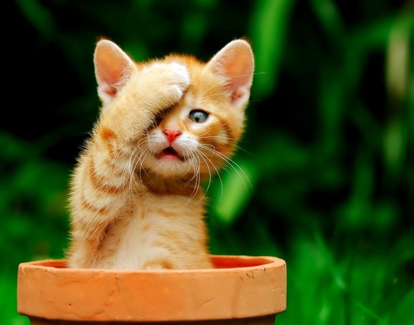 771d28acd564f8266b04b69b0c3617be