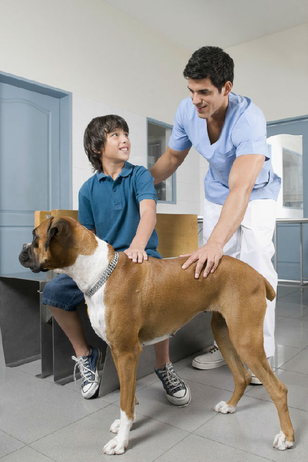 8e15aef8b1a92db8f5f93ba1484774d0