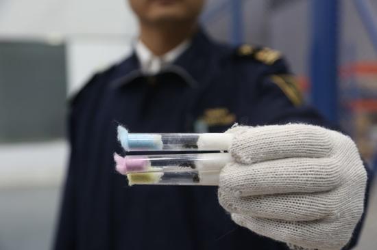 877e1d0c87602a4a1b8536191770f007