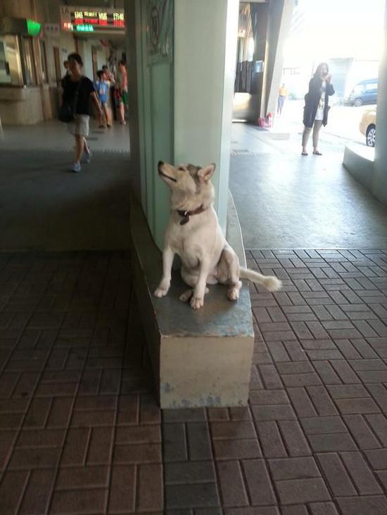 太阳城官网·tyc(中国集团)有限公司