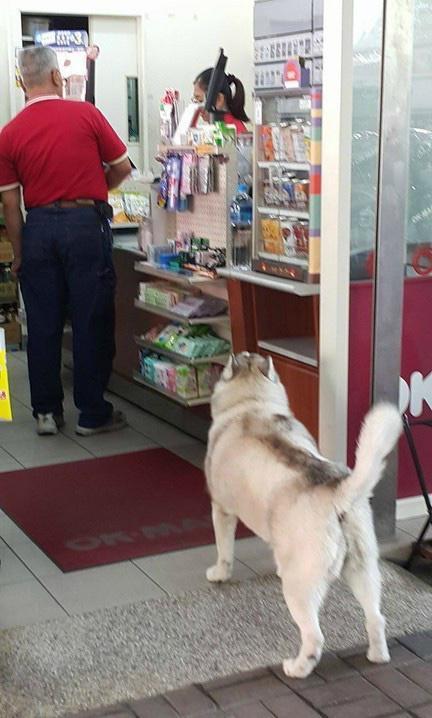 e4a19af06fad5f5e3f77fba23b843e70