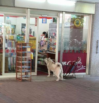 e532cb1fd0b92564c66830fdddac4e6f